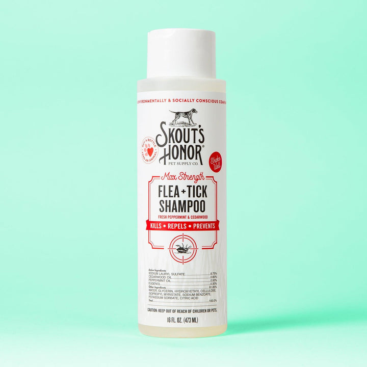 Flea & Tick Shampoo for Dogs