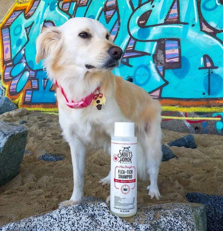 Flea & Tick Shampoo for Dogs