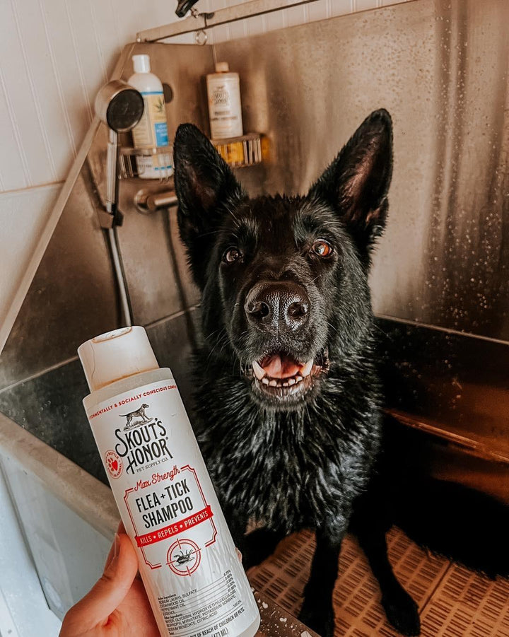 Flea & Tick Shampoo for Dogs