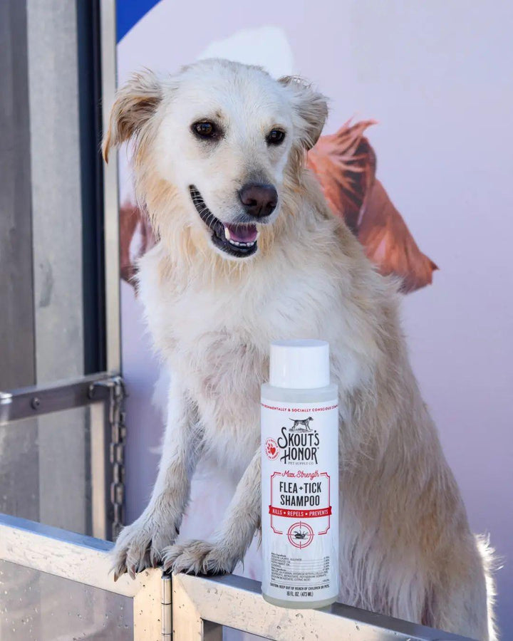 Flea & Tick Shampoo for Dogs