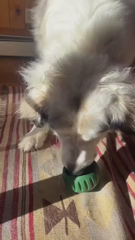 Pupsicle Pops (Chicken / Peanut Butter)