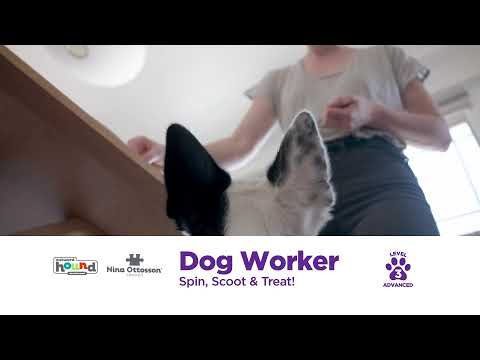 Dog Worker Interactive Treat Puzzle Dog Toy