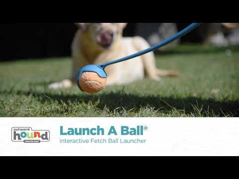 Launch A Ball Squeak Dog Ball Launcher