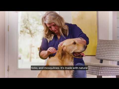 Flea & Tick Spot On for Dogs + Cats with Natural Essential Oils