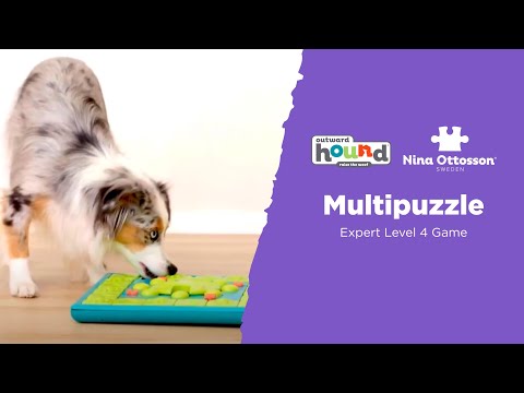 MultiPuzzle Interactive Dog Treat Puzzle Toy