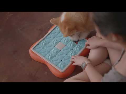 Challenge Slider Interactive Treat Puzzle Dog Toy