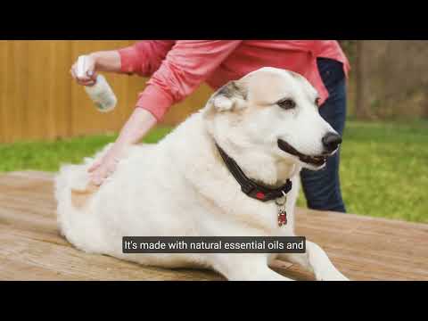 Flea & Tick Spray for Pets + Home with Natural Essential Oils