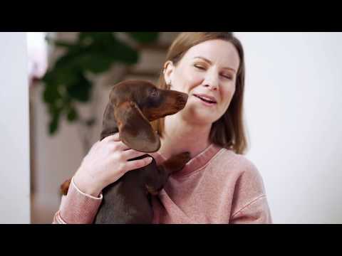 Grain-Free Chicken & Salmon Recipe for Puppies