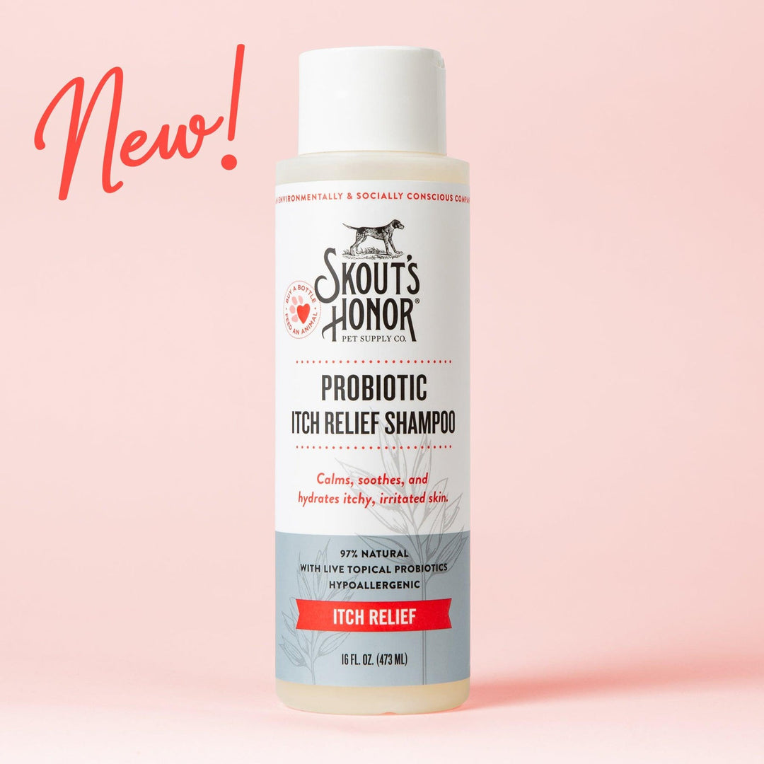 Probiotic Itch Relief Shampoo