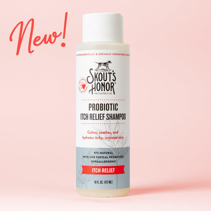 Probiotic Itch Relief Shampoo