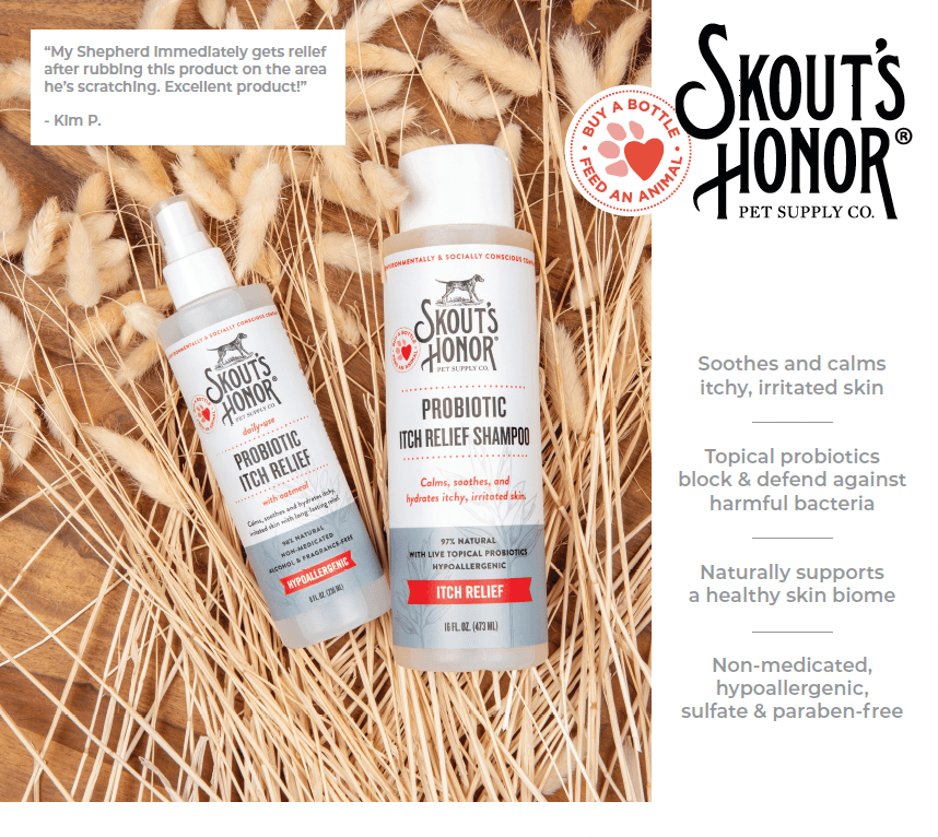 Probiotic Itch Relief Shampoo