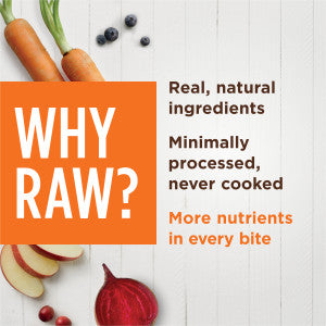 Raw Boost Mixers - Multivitamin for Adult Dogs Ages 7+