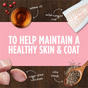 Raw Boost Mixers - Skin & Coat Health