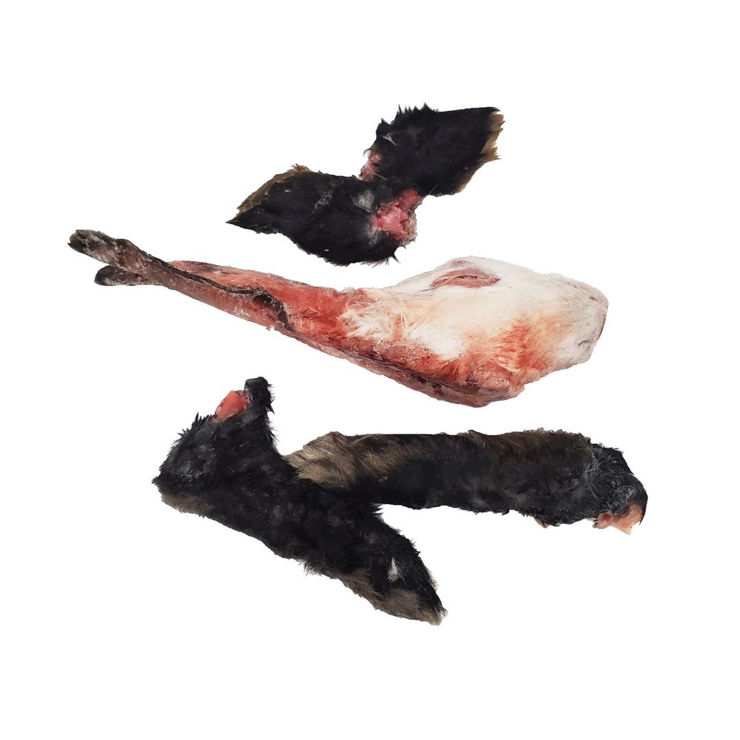 Frozen Hare Head & Hoppers