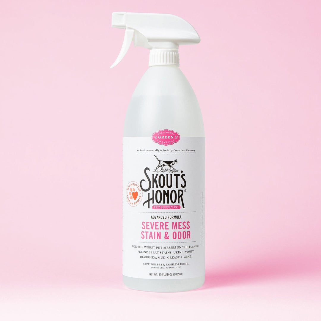 Severe Mess Stain & Odor Advanced Formula for Cats