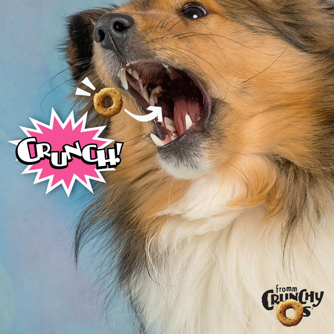 Crunchy O's - Slammon Smoked Salmon Flavor