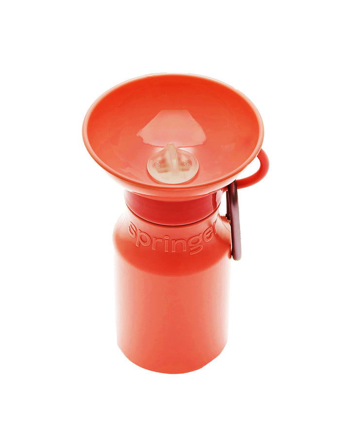 Mini Travel Water Bottle (15 oz)