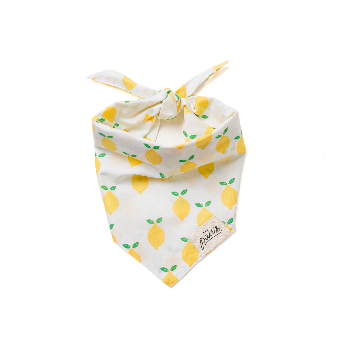 Lemon Print Bandana