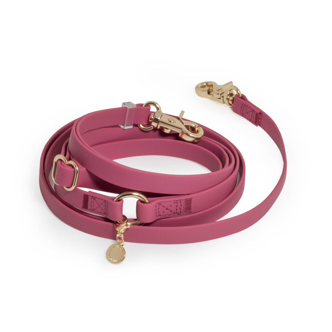 Cloud Hands-Free Convertible Leash