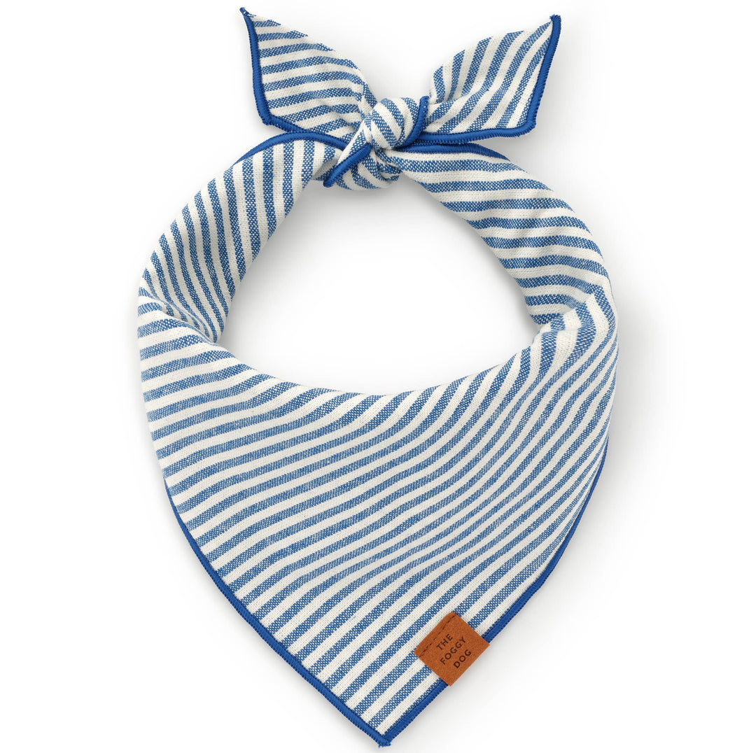 Lake Blue Stripe Bandana