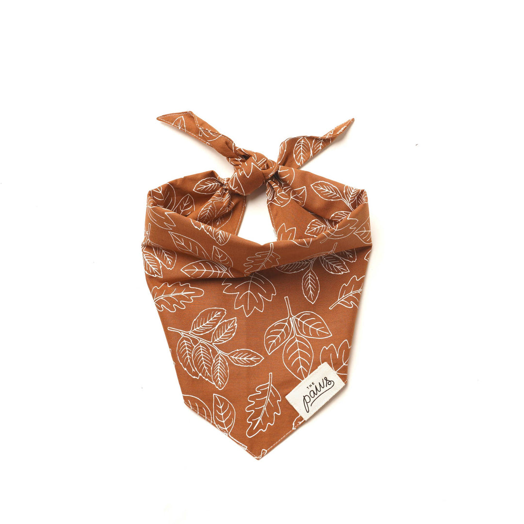 Fall Leaves Bandana