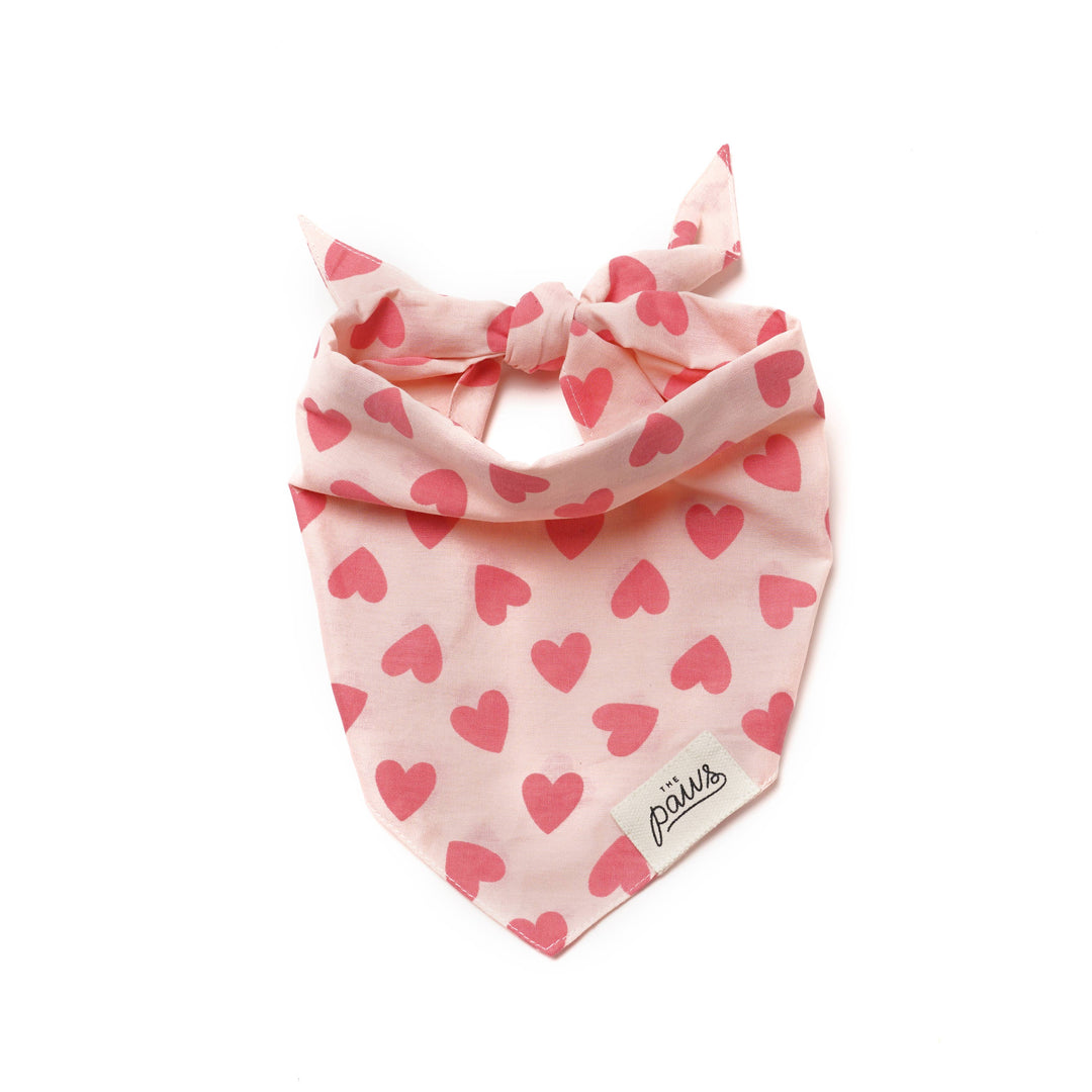 Heart Print Bandana