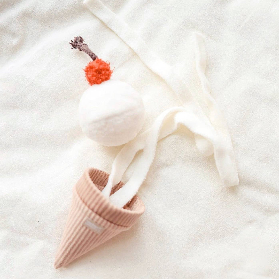 Ice Cream Pop - Enrichment Toy