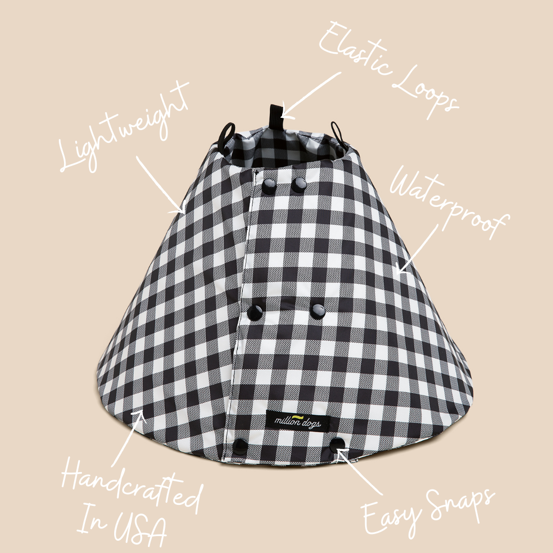 Check Healing Cone Recovery Collar