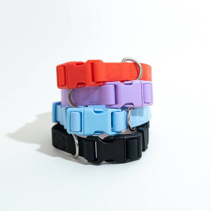 Springer Collar