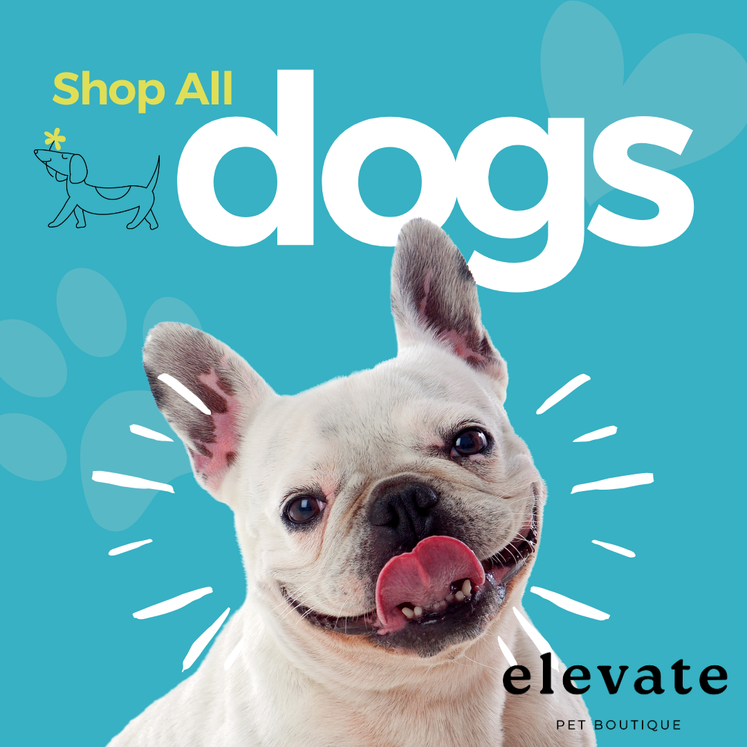 Shop All Dog Products