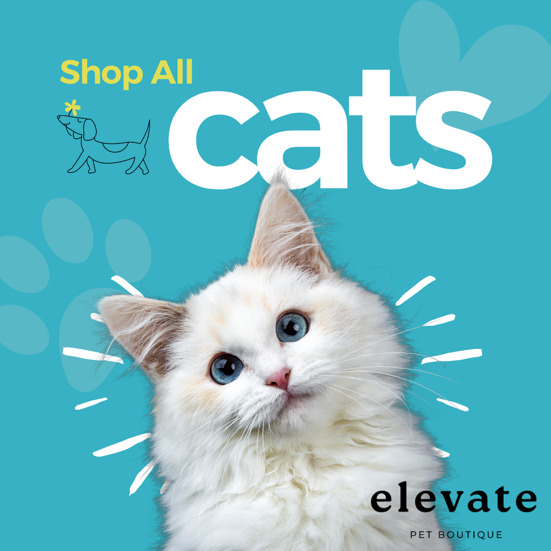 Shop All Cat Products