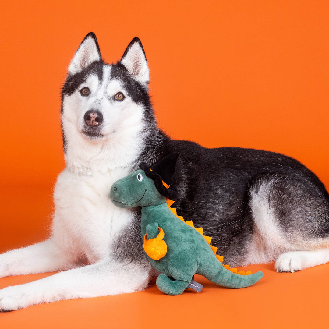 CANDY REX-PLUSH DOG TOY