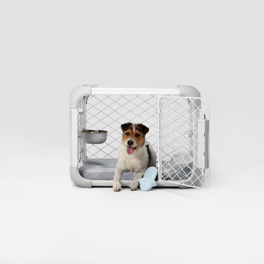 Evolv Dog Crate