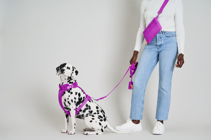 Adjustable Dog Leash