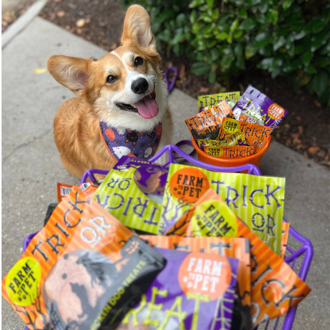 Halloween Chicken & Turkey Treats for Dogs & Cats