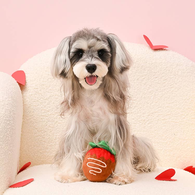 Woof Love Chocolate Strawberry Toy