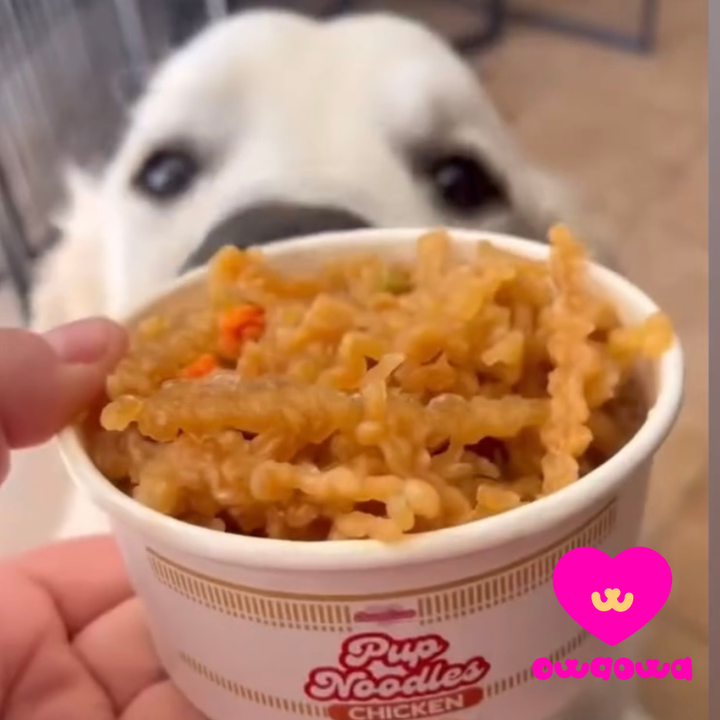 Pup Noodles Chicken- VIRAL cup noodles for dogs & cats