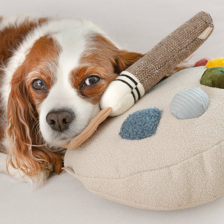 Color Palette Set // ENRICHMENT DOG TOY