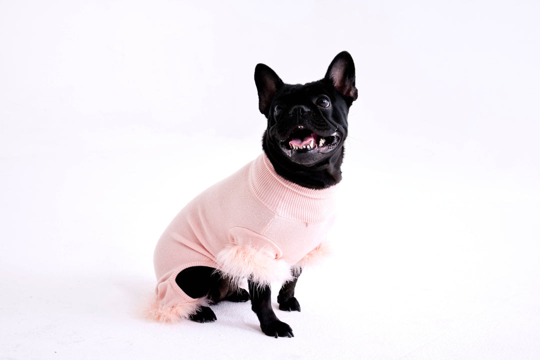 Feather Knit Onesie for Dogs