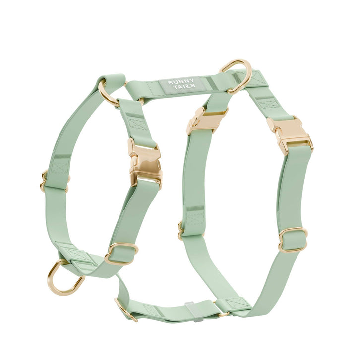 Cloud Lite Harness