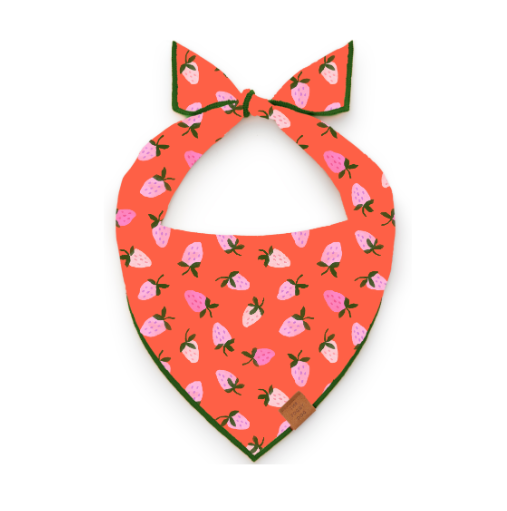 Berry Sweet Valentine's Day Dog Bandana