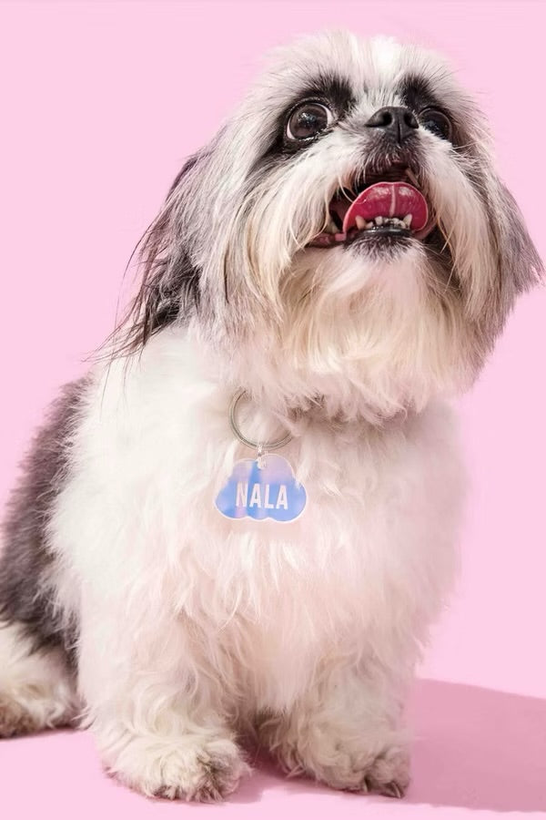 Kissamo Pet Tags