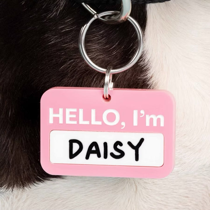 Kissamo Pet Tags