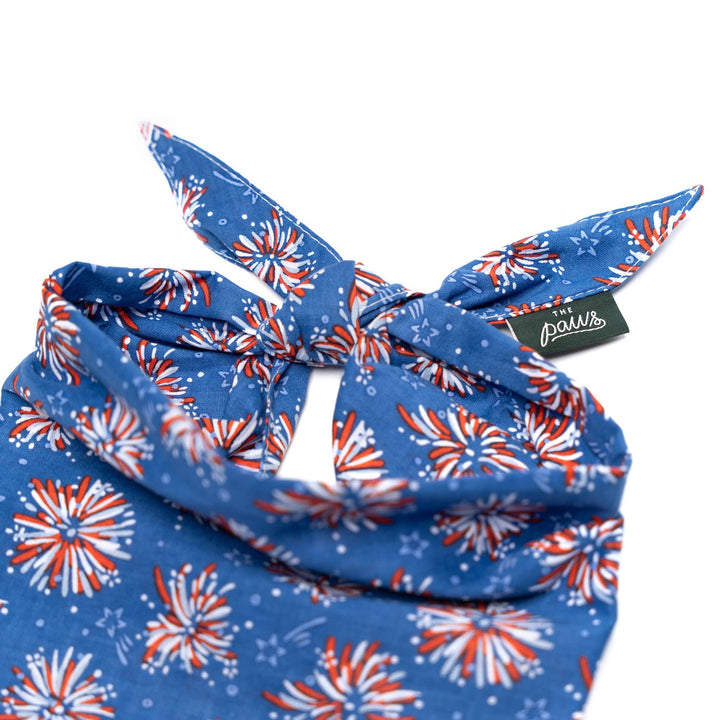 Firecrackers Dog Bandana