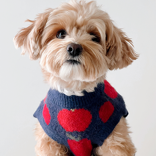 Appley Ever After Sweater