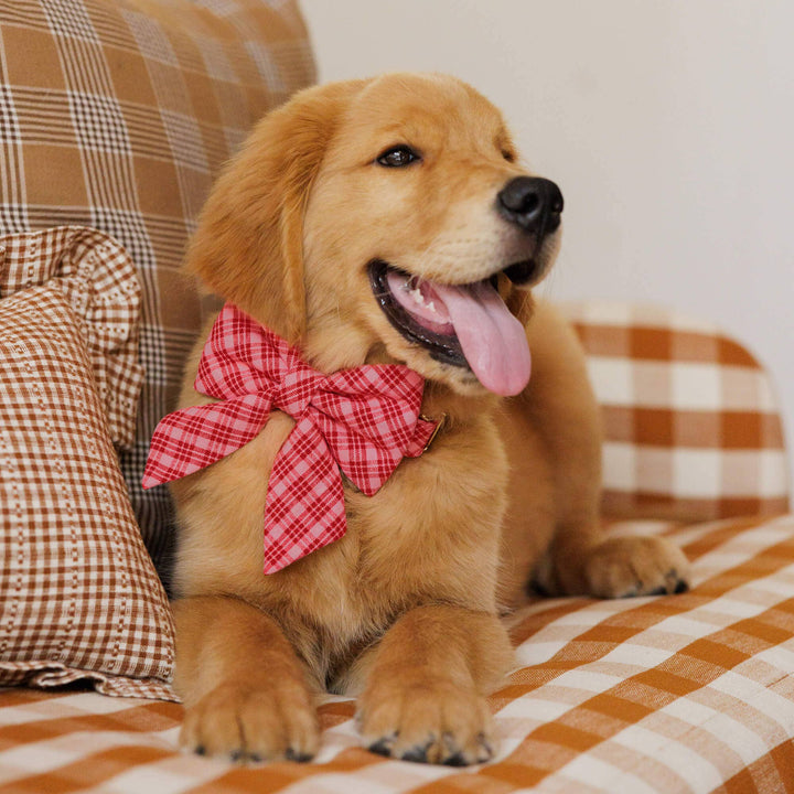 HTH x TFD Katherine Plaid Valentine Lady Dog Bow