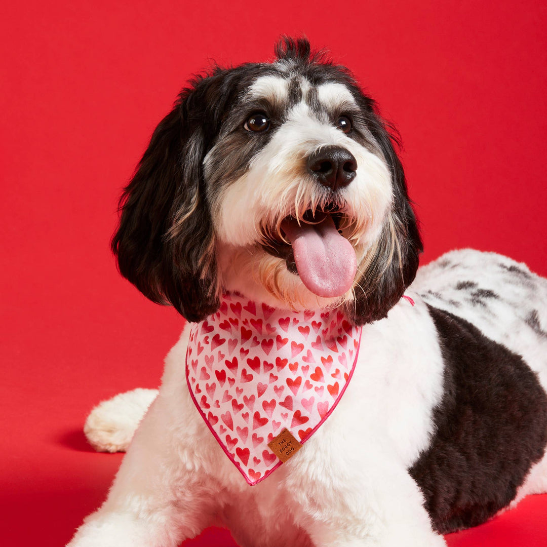 Heart Throb Valentine's Day Bandana