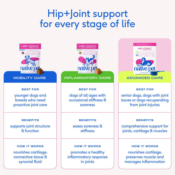 Hip+Joint Advanced Care Powder Joint, Muscle & Inflammation