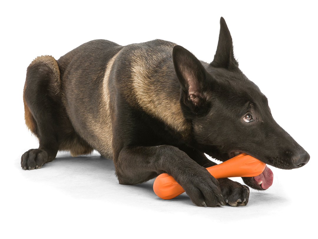 Hurley® Dog Toy for Chew and Fetch