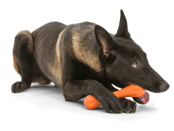 Hurley® Dog Toy for Chew and Fetch